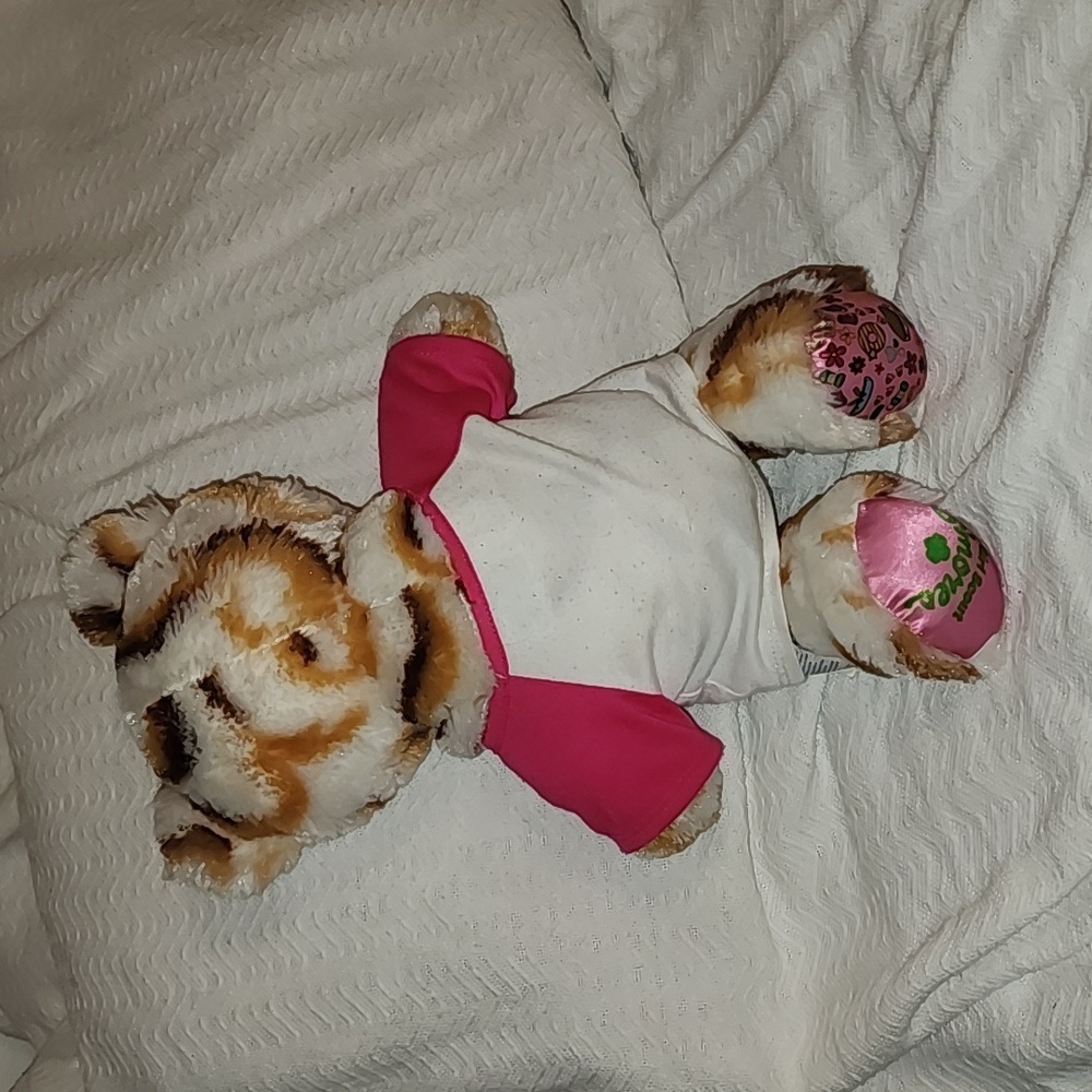 Build a bear Girl Scouts Bear - Picture 5 of 7